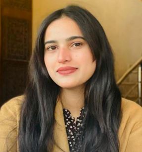 The Fragile Peace: Analyzing the Consequences of the Kashmir Tourist Attack on Indo-Pak Relations